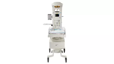 Panda Warmer new