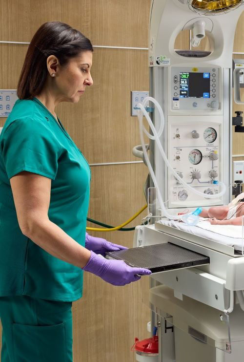 panda-warmers-curve-cu-en