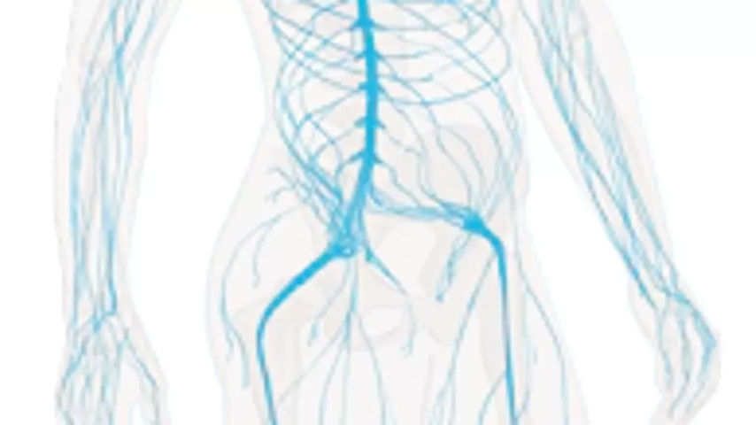 patient-monitors-FeatureCardHalf_3-ci-en_