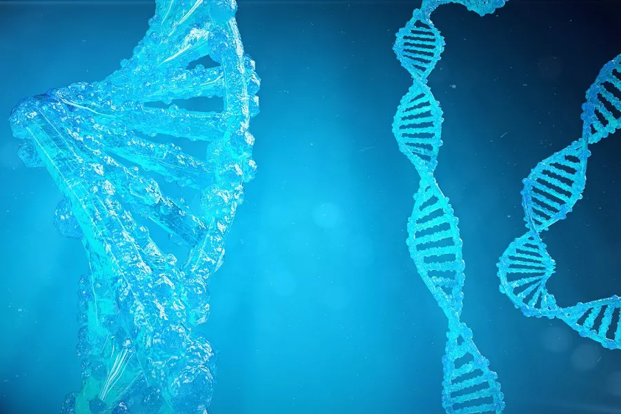 Personalized Medicine in Healthcare