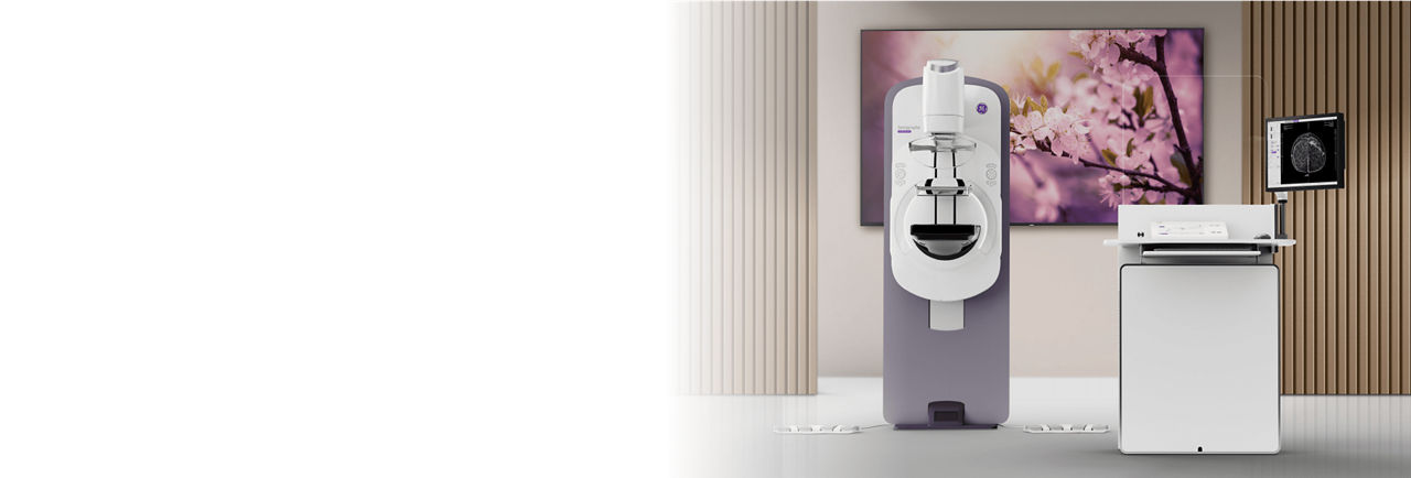 pristina-via-digital-launch-header