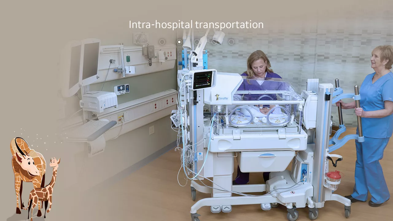 product-slide-step02-neonatal-care-in-nicu