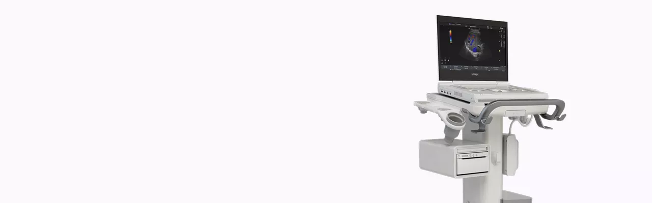 promo-dynamic-resources-desktop