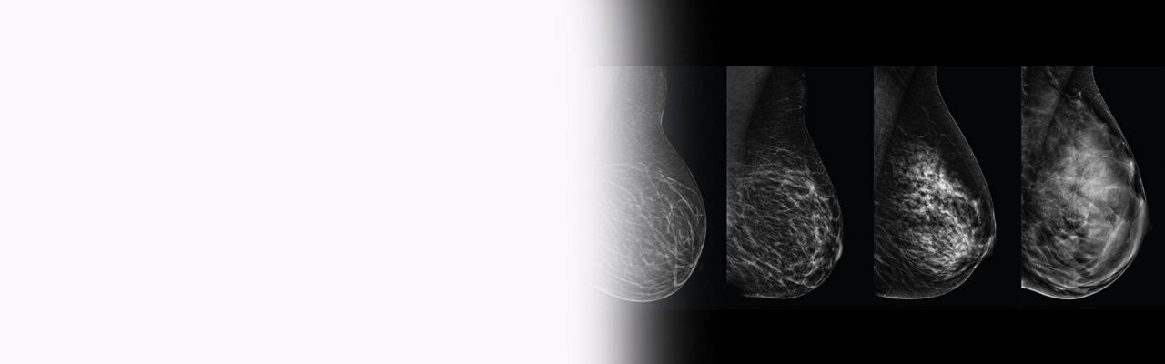 promo-dynamic-the-facts-desktop