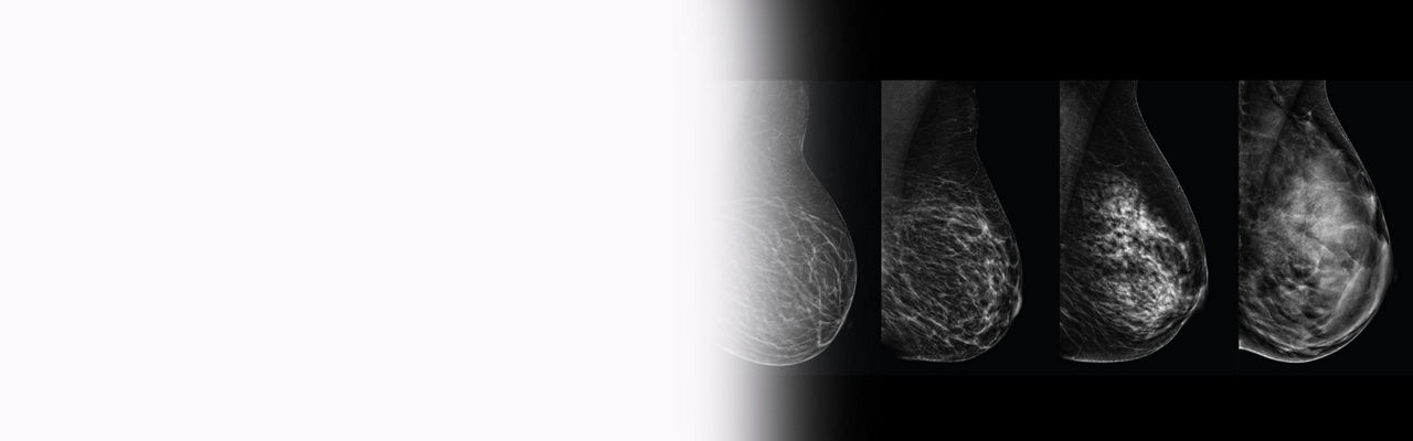 promo-dynamic-the-facts-desktop-ba-en