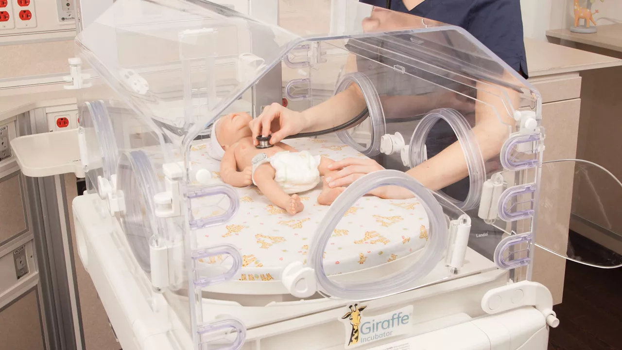 <p>Giraffe Incubator Carestation</p>

