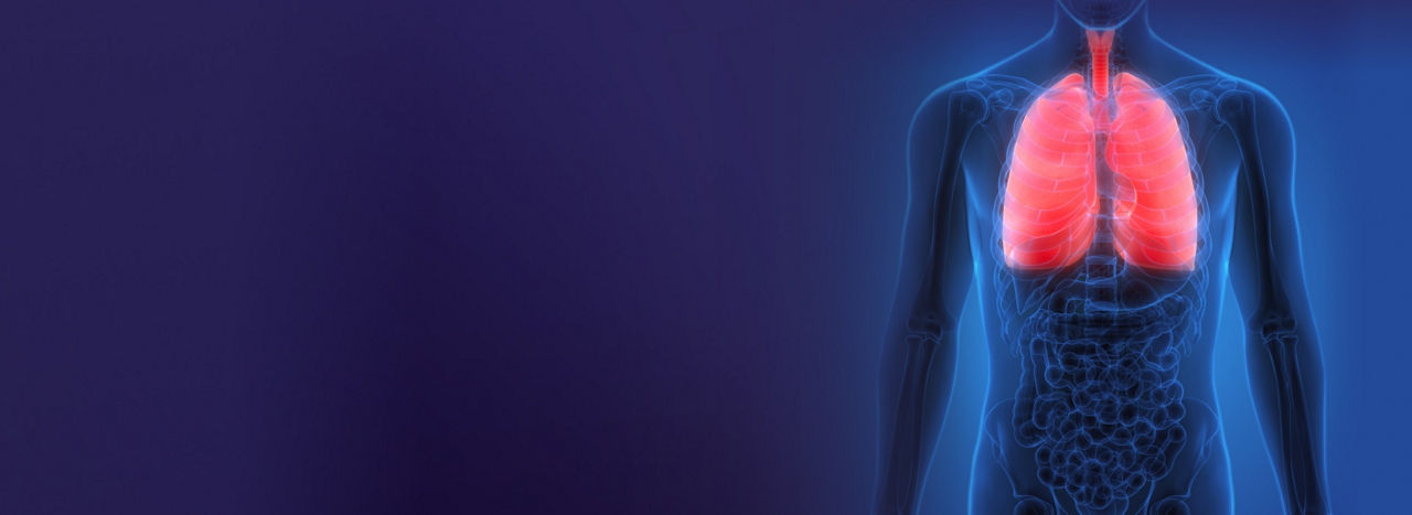 pulmonary-imaging-desktop-st-en