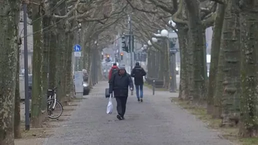 Image of people walking down a city sidewalk surrounded by trees.