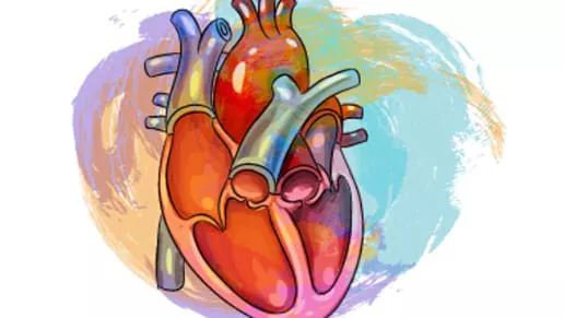 Image of an artistically drawn heart.