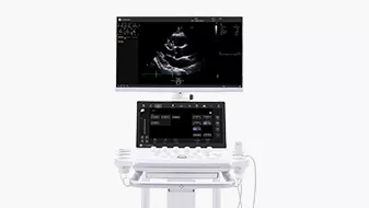 Image of Vivid Advanced