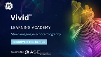 Image of Vivid Learning Academy graphic 