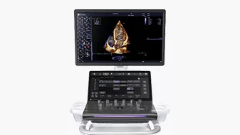 Image of Vivid Pioneer