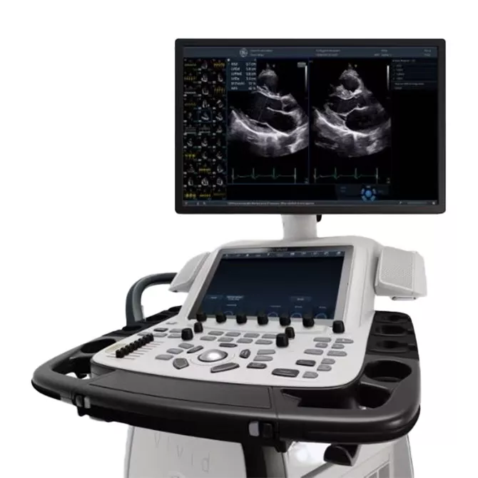 Vivid Ultrasound