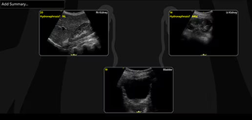 renal-diagram-review-desktop