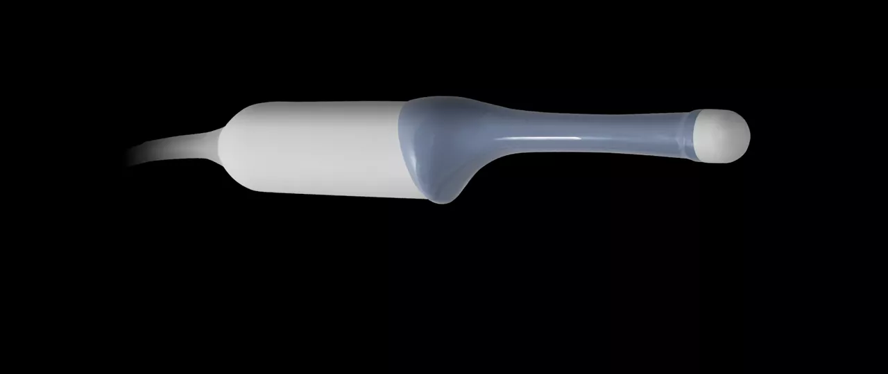 RIC6-12-PROBE-ENDOVAGINAL-PROBE