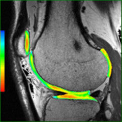 ries-do-not-clone-advanced-visualization-applications-ready view-aw-readyview-overview.jpg