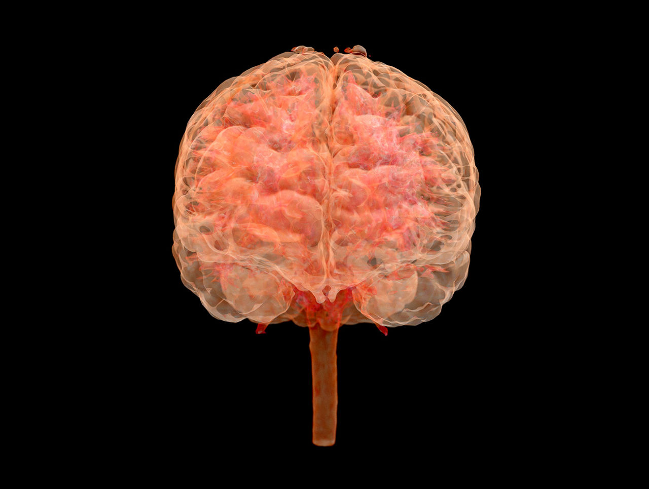 s-curve-brain-desktop