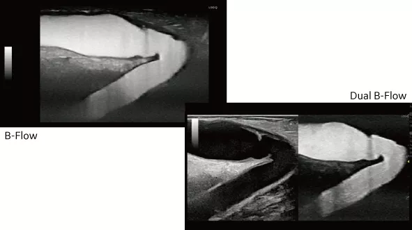 sc4