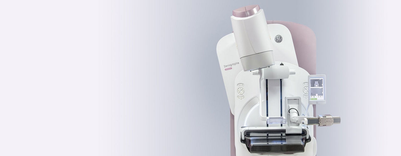 serena-bright-banner-ba-en