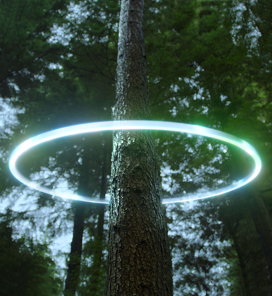 Shining a light on sustainability