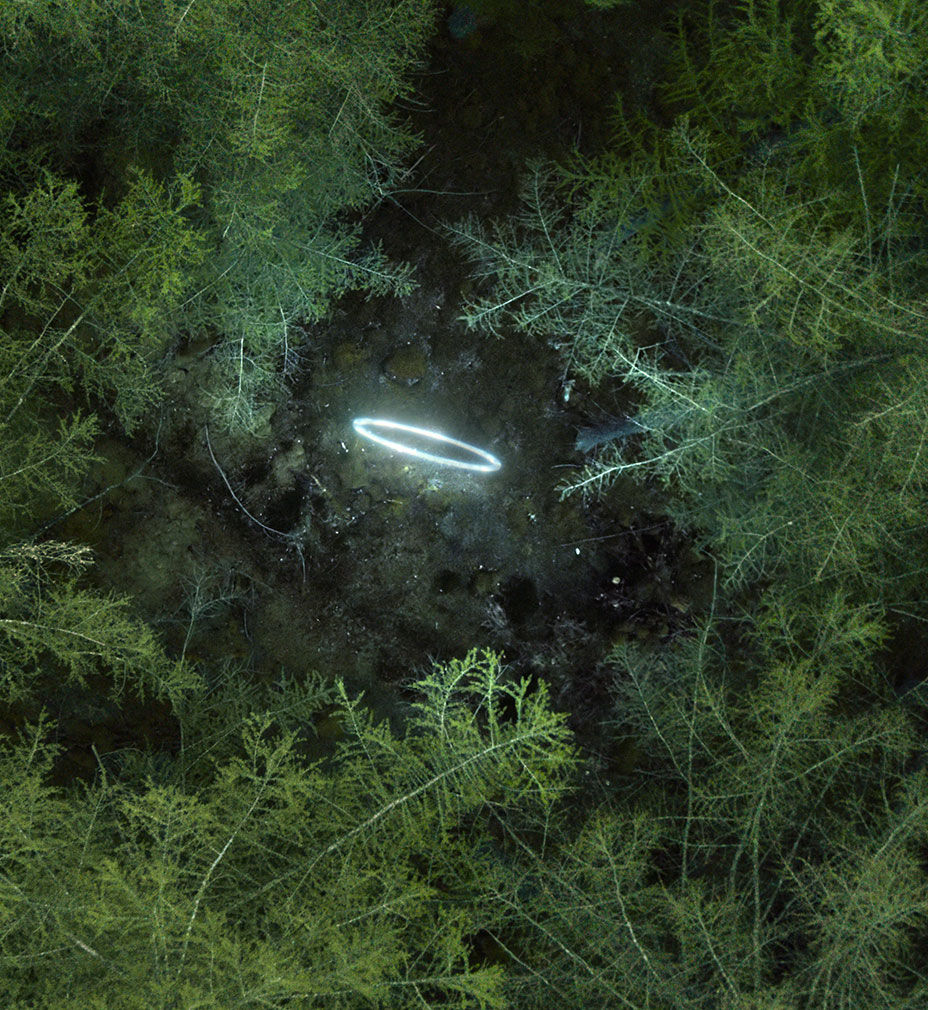 Shining a light on sustainability