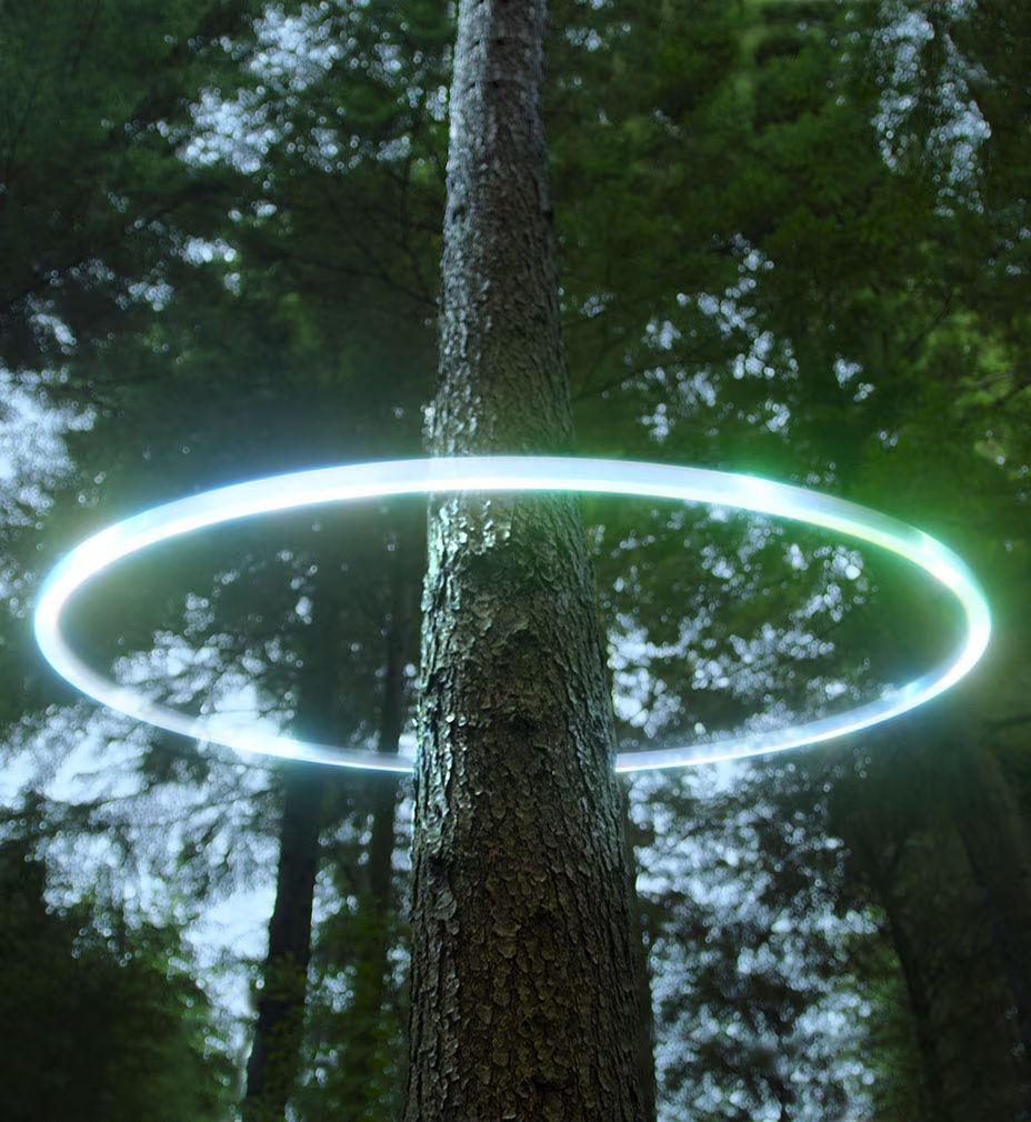 shining-a-light-on-sustainability-ci-en