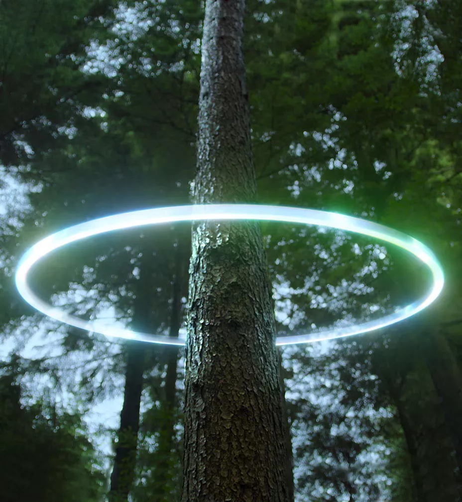 shining-a-light-on-sustainability-ci-en