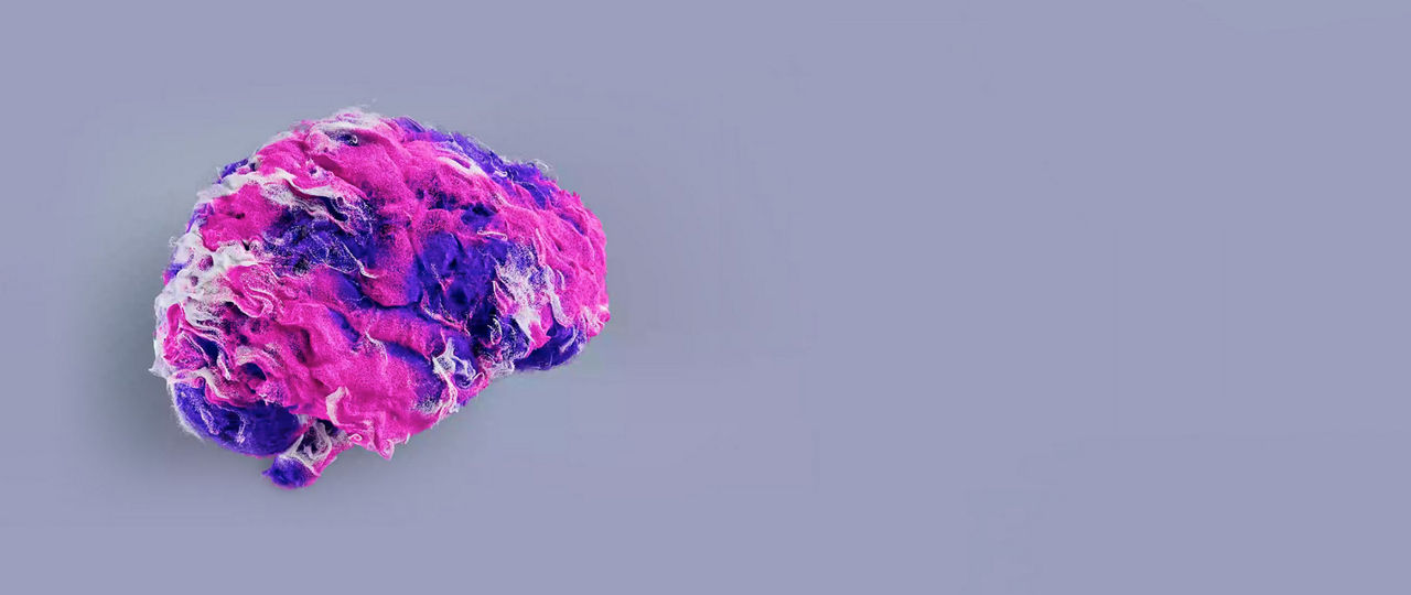 signa-1_1920x810v2