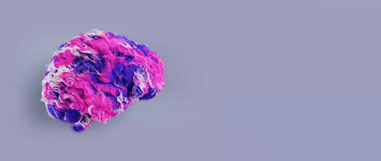 signa-1_1920x810v2