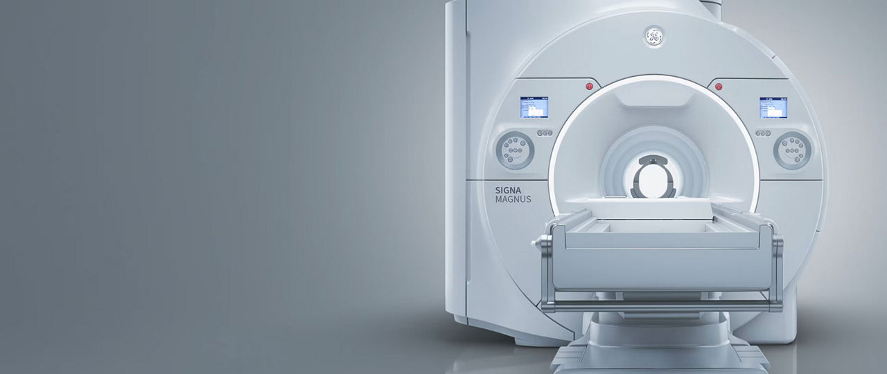 signa-magnus-hero-ba-en