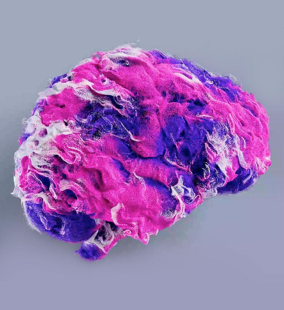 signa-streamlined-iq-ci-en