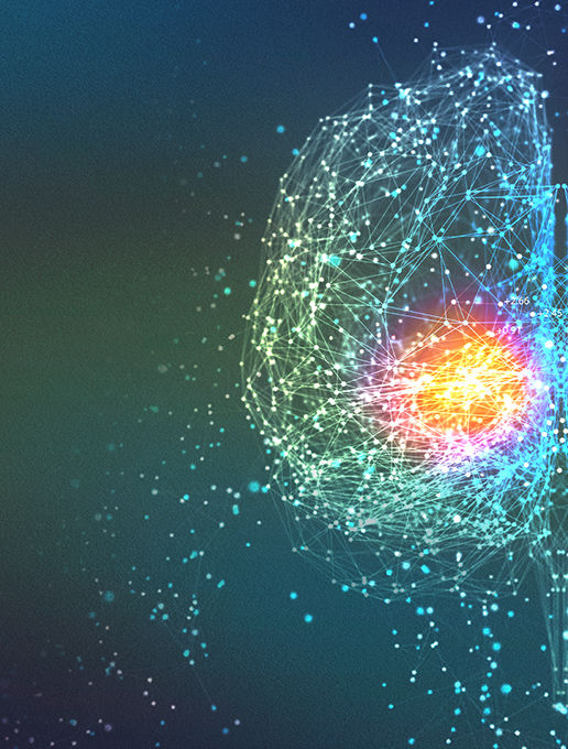 slip-cover-brainstem-HALF-DESKTOP