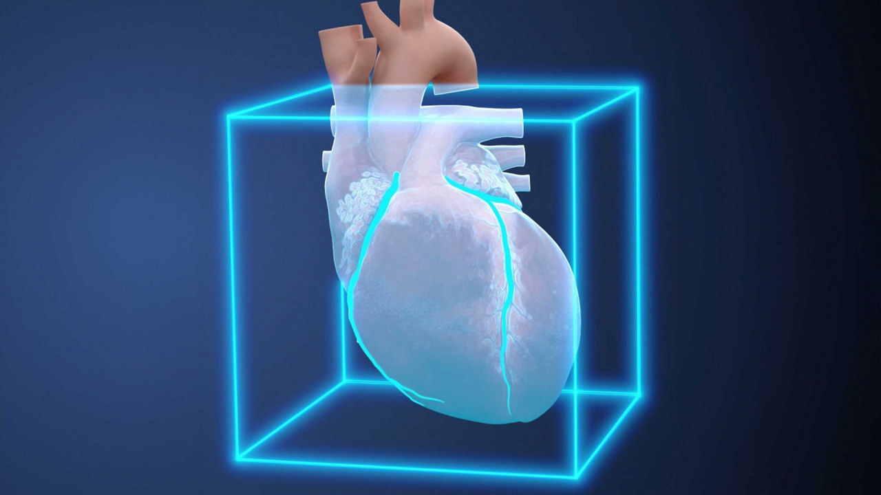 Blood pressure cuffs in various sizes.