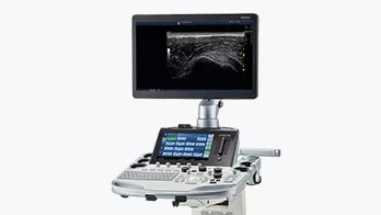 <p>GoldSeal Ultrasound</p>
