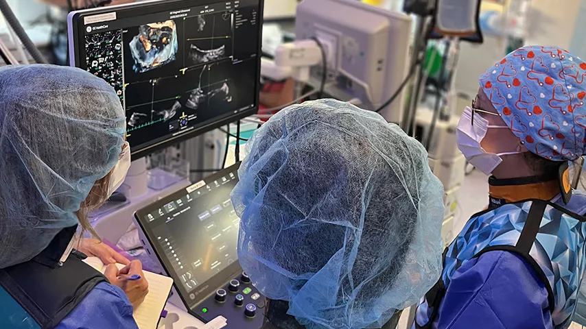 <p>Early experience with the new Vivid Pioneer ultrasound system</p>
