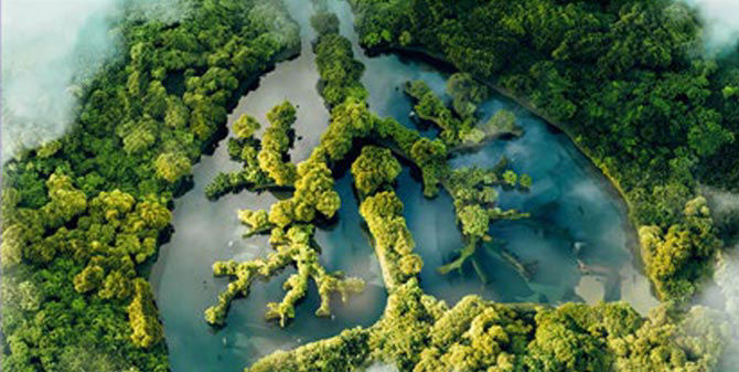 Sustainability