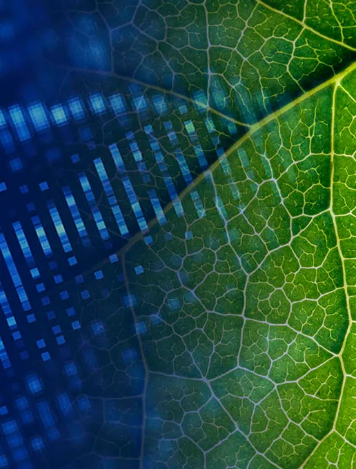 sustainability 516x680