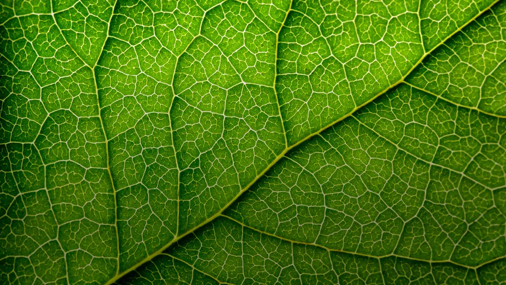 Sustainability_1040x585