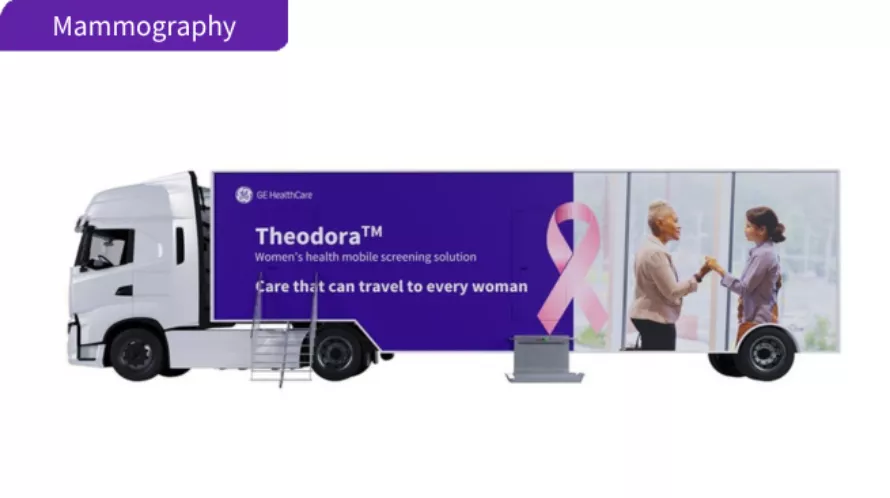 Theodora new size