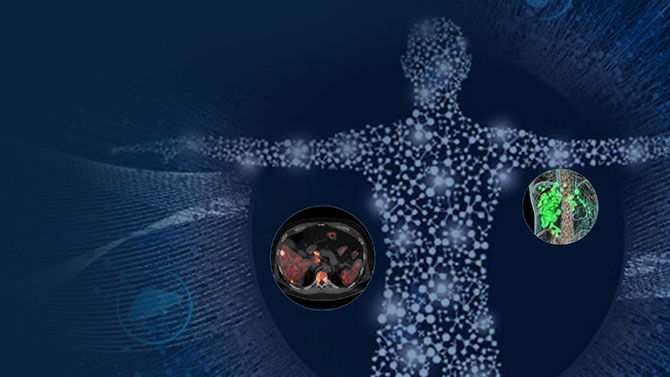 Theranostics-05RelatedContent