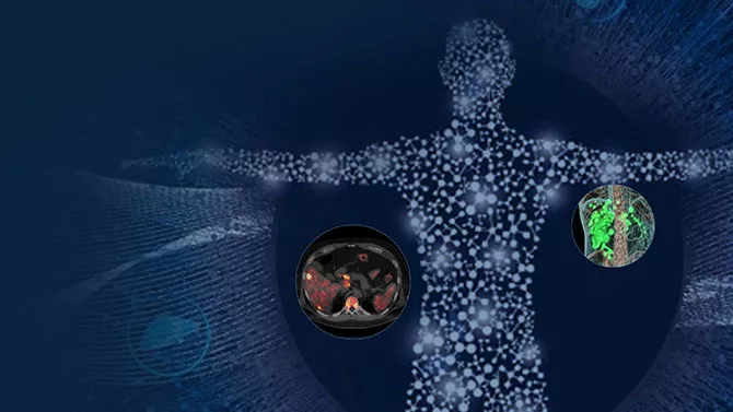 Theranostics-05RelatedContent
