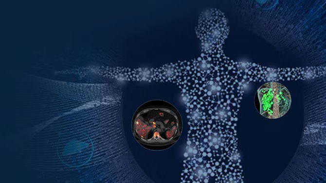 Theranostics-05RelatedContent