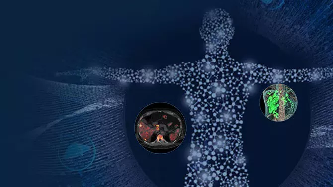 Theranostics-05RelatedContent