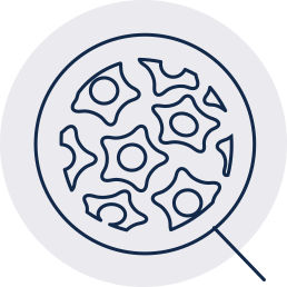 Trophon2 papillomavirus
