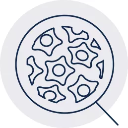 Trophon2 papillomavirus
