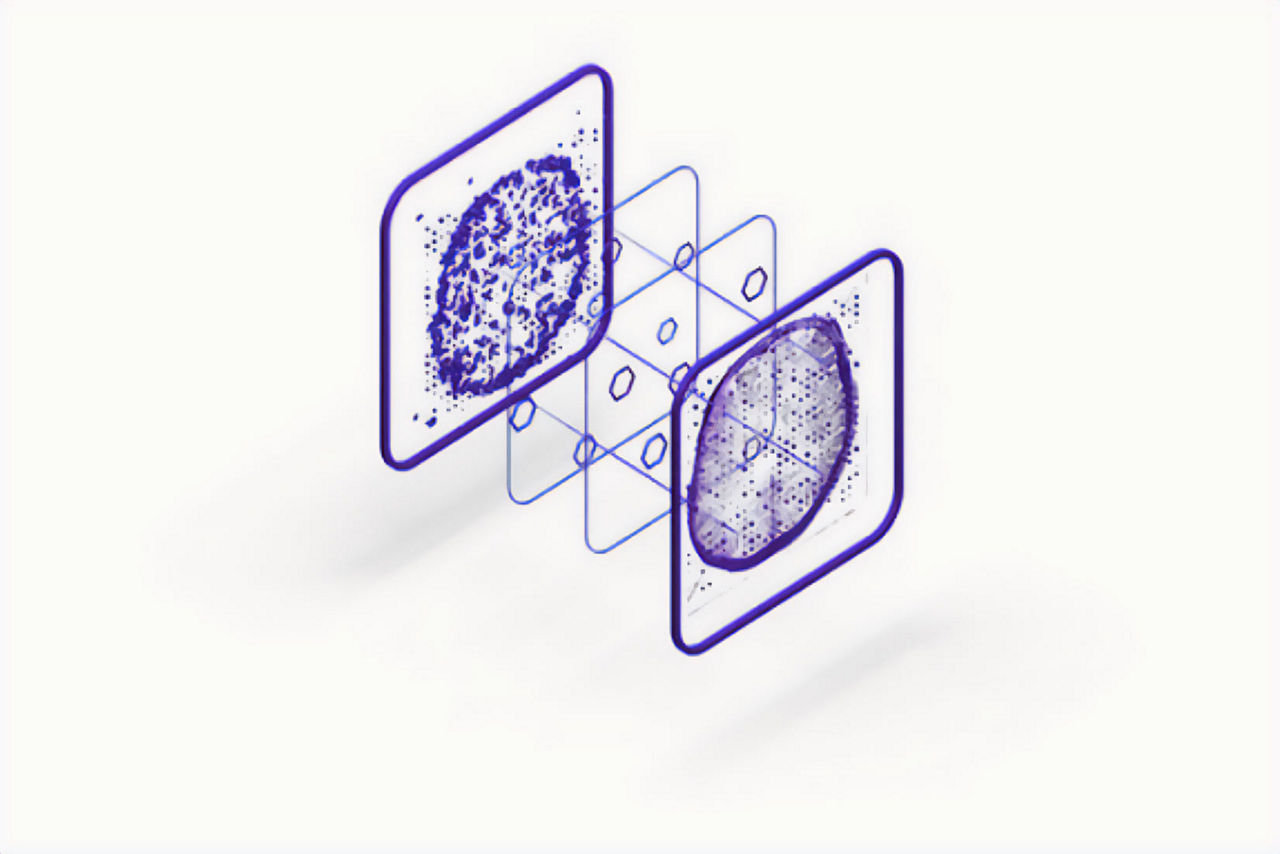 truefidelity-verifying-st-en