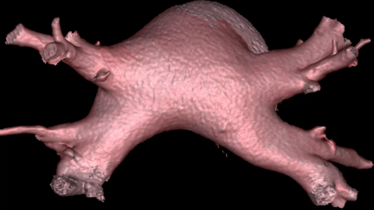 uct-categories-do-not-clone-advanced-visualization-applications-cardep-aw-cardep_thumb.jpg