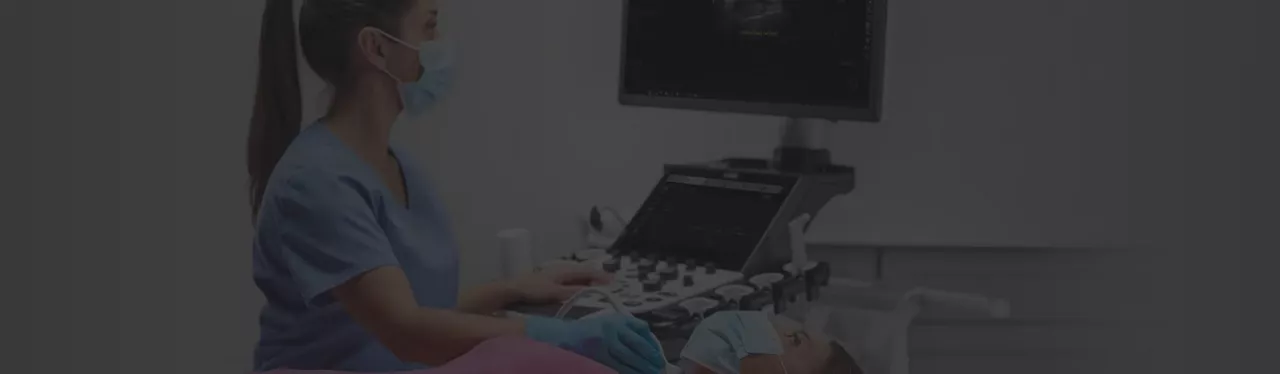 ultrasound-cat-hero-desktop-tablet