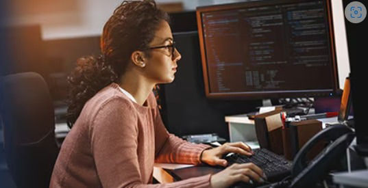 <p>Ultrasound Developer Program</p>
