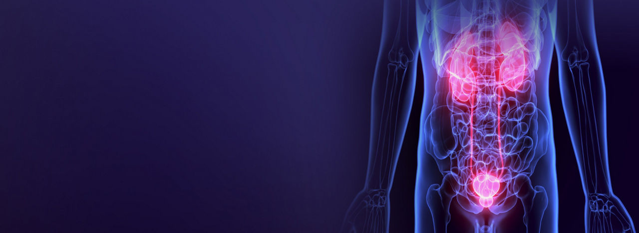 urology-imaging-desktop